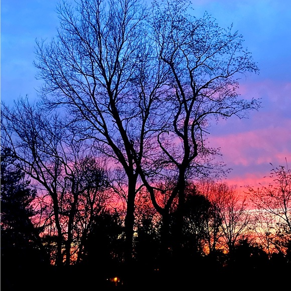 Meet your Posher, Nancy - Picture 1 of 1